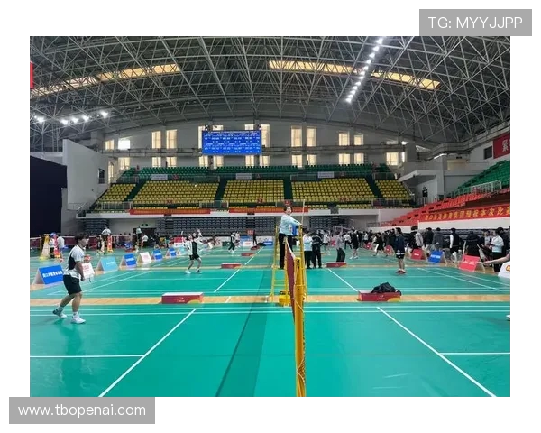 杭州羽毛球队在杯赛中的意识表现分析与总结